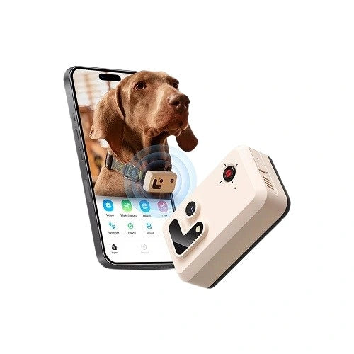 RoG® Area 3 PetTracker GPS Collar